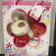 Soft toy and chocolate gift bag 